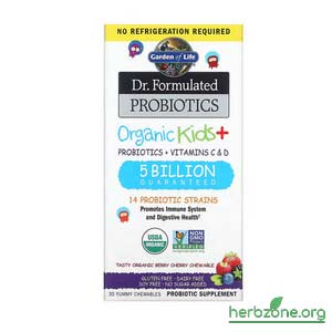 Garden of Life Dr Formulated Probiotics Organic Kids from iHerb