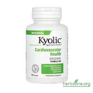 Kyolic Aged Garlic Extract Cardiovascular from iHerb