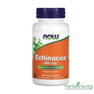 NOW Foods Echinacea 400 mg from iHerb