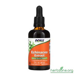 NOW Foods Echinacea Extract from iHerb