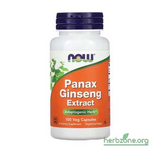 NOW Foods Panax Ginseng Extract from iHerb