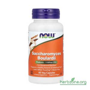 NOW Foods Saccharomyces Boulardii Probiotic 5 Billion CFU from iHerb