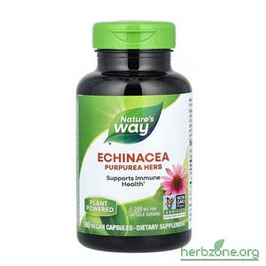 Nature's Way Echinacea Purpurea Herb 1200 mg from iHerb