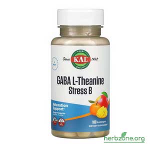 KAL GABA L-Theanine Stress B from iHerb