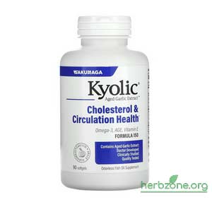 Kyolic Aged Garlic Extract Cholesterol Circulation Health from iHerb