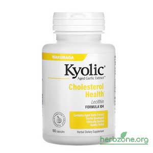 Kyolic Aged Garlic Extract with Lecithin Cholesterol Health from iHerb