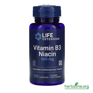 Life Extension Vitamin B3 Niacin from iHerb