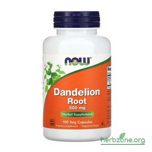 NOW Foods Dandelion Root from iHerb