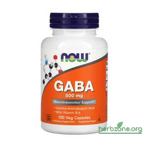 NOW Foods GABA with Vitamin B-6 from iHerb