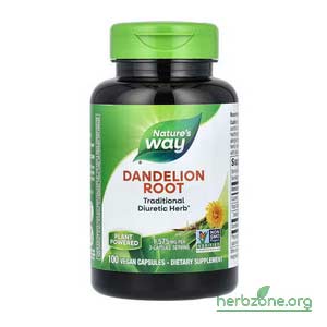 Nature's Way Dandelion Root from iHerb