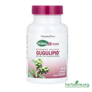 NaturesPlus Herbal Actives Gugulipid Extended Release from iHerb